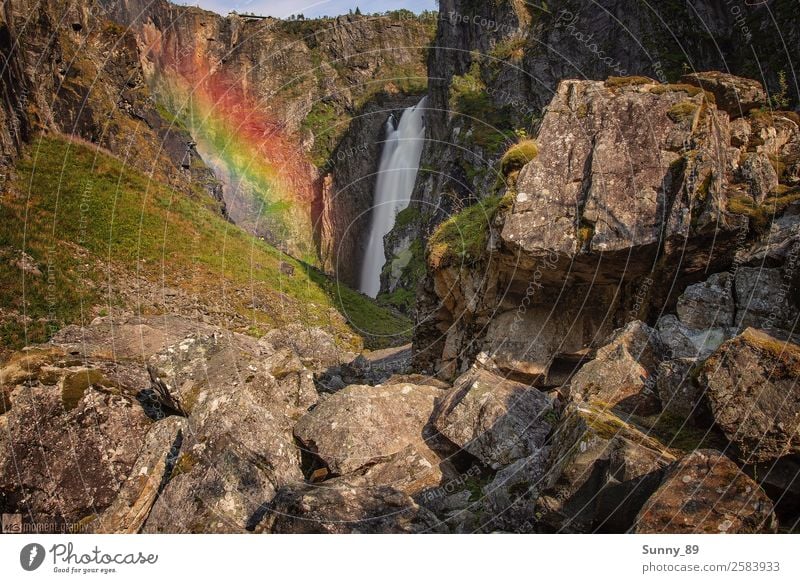 rainbow Environment Nature Landscape Plant Animal Earth Air Water Sky Sun Sunrise Sunset Sunlight Summer Beautiful weather Grass Bushes Moss Hill Rock Mountain