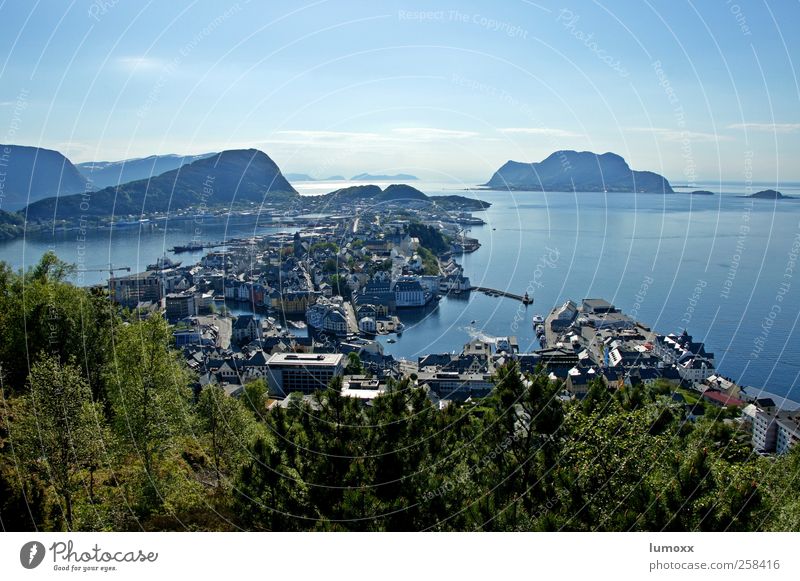 Convertibles of the North Art nouveau Landscape Sky Sunlight Spring Beautiful weather Tree Hill Coast North Sea Island Norway Europe Town