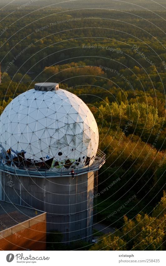 relic Reading Freedom Forest Deserted Ruin Tower Observatory Architecture Discover Relaxation Derelict Decline Radar station Colour photo Exterior shot Evening