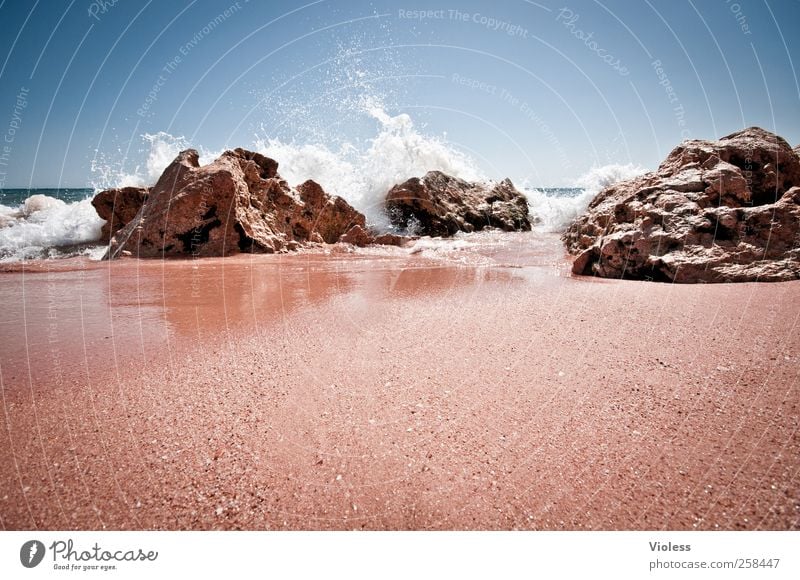 Splash again Nature Sand Water Sky Sun Sunlight Summer Beautiful weather Waves Coast Beach Ocean Relaxation Vacation & Travel Joy Vacation mood Portugal gale