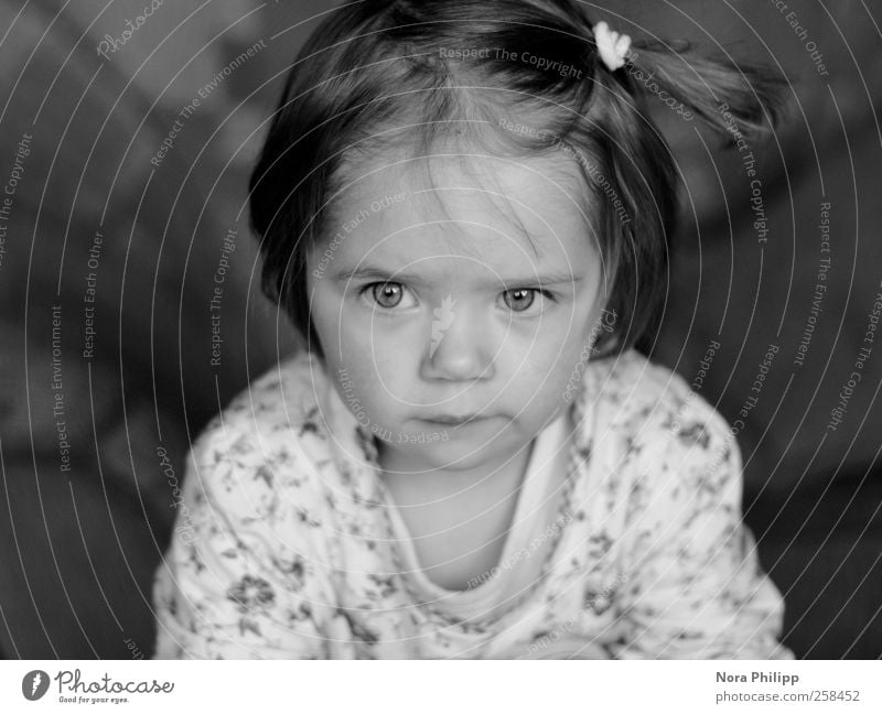 facing the world Human being Child Toddler Girl Infancy Head Hair and hairstyles Face Eyes 1 1 - 3 years T-shirt Braids Elastic hairband Think Looking Curiosity