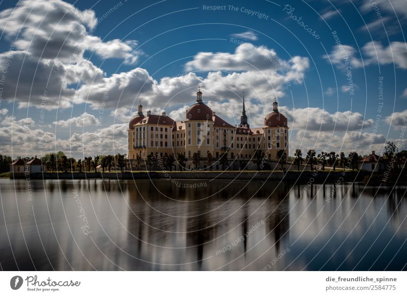 Moritzburg Castle Nature Landscape Water Sky Beautiful weather Tree Garden Park Pond Lake Moritzburg castle Dresden Germany Europe Hunting lodge