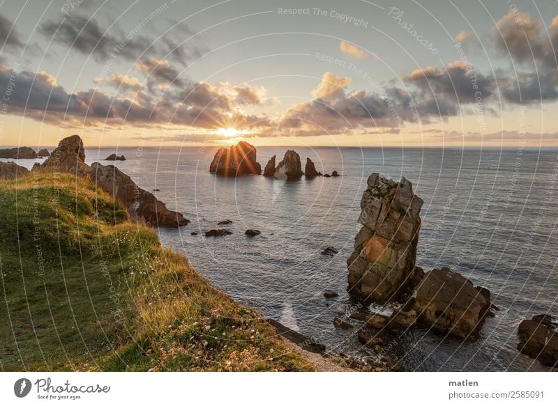 last blink Nature Landscape Plant Sky Clouds Horizon Sunrise Sunset Summer Beautiful weather Grass Rock Coast Beach Reef Ocean Deserted Maritime Blue Brown Gold