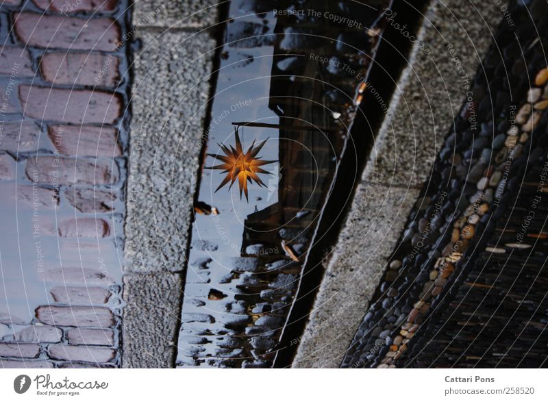 Rainy Christmas Days Feasts & Celebrations Christmas & Advent Bad weather Freiburg im Breisgau Water Hang Illuminate Bright Cold Paving stone Puddle Reflection