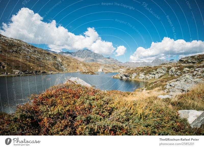 Bernina Pass Environment Nature Landscape Blue Brown Red White Water Lake Mountain Stone Vantage point Exterior shot Alps Switzerland Colour photo