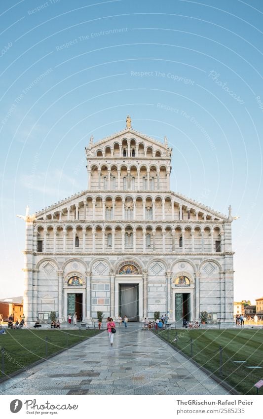 pisa Town Green White Pisa Italy Vacation & Travel Religion and faith Building Impressive Church Dome Lawn Tourism Valued Moody Colour photo Exterior shot