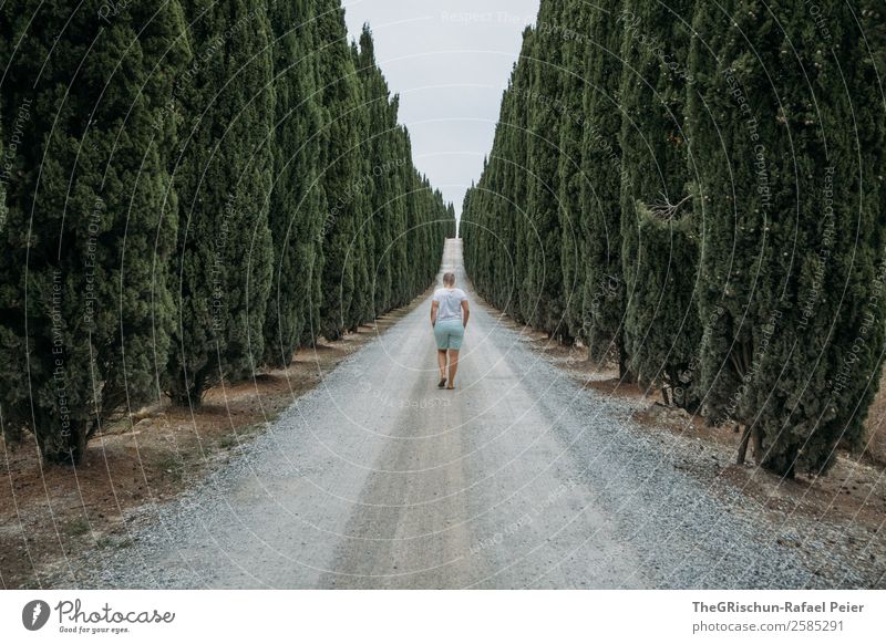 Cypress Avenue Landscape Gray Green Tree Perspective Woman Walking Street Future Forward Italy Tuscany Vacation & Travel Travel photography Discover