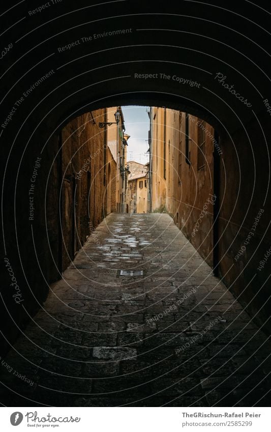 gas Town Brown Black Italy Tuscany Village Valued Tourism Stone House (Residential Structure) Alley Narrow Going Colour photo Exterior shot Deserted