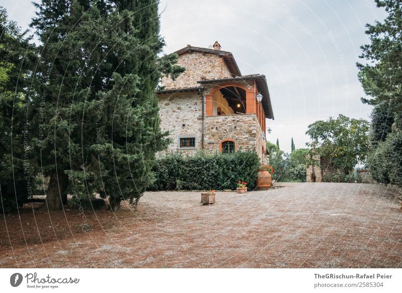 be present Landscape Brown Gray Green Black Tuscany Property Tree Italy Architecture Italian Living or residing Accommodation Esthetic Colour photo