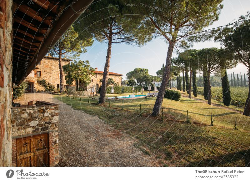 dream Landscape Blue Brown Gray Green Tree Vantage point Accommodation Swimming pool Avenue Tuscany Italy Travel photography To enjoy Calm Sleep Discover