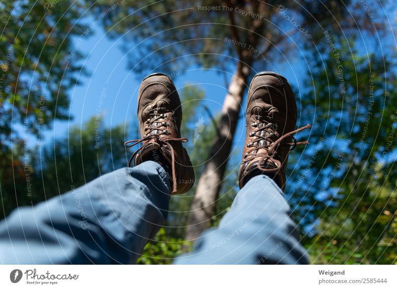 hiking break Human being Man Adults Summer Autumn Park Forest Breathe Blue Joy Happy Happiness Contentment Joie de vivre (Vitality) Self-confident Optimism