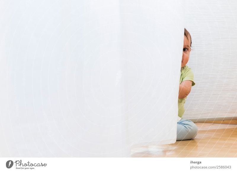 baby playing and hiding with white curtains Joy Happy Beautiful Face Playing Child Human being Baby Toddler Boy (child) Infancy 1 0 - 12 months Crawl Sit