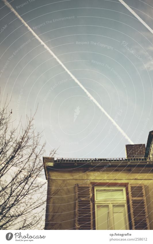 Beautiful view House (Residential Structure) Window Vapor trail Tree Branch Roof Shutter Blur Sunlight Day Beautiful weather Plaster