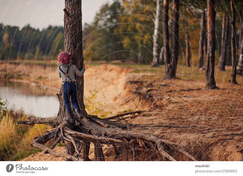 child climbing pine tree on autumn walk Lifestyle Vacation & Travel Trip Adventure Child Girl 3 - 8 years Infancy Nature Sand Water Autumn Beautiful weather