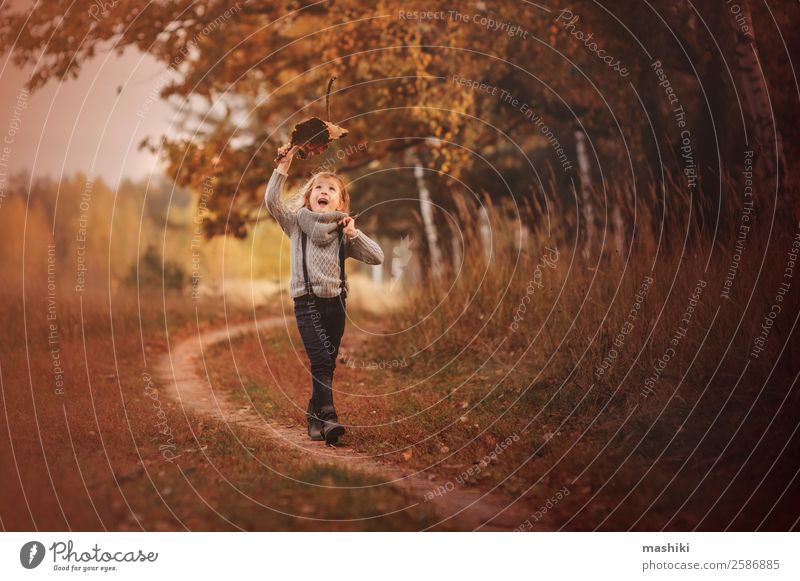 happy child girl walking in autumn Human being Child Nature Autumn Tree Park Forest Smiling Walking Adventure Infancy Joy Girl Seasons Playing Funny Happy