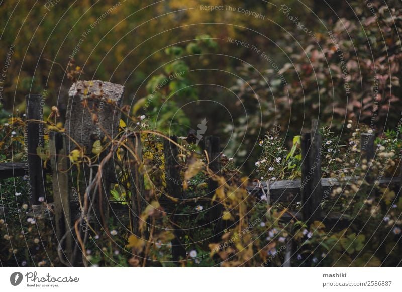 old fence in autumn Vacation & Travel Adventure Freedom Sadness Fence Old Rural Walking Country life Autumn Seasons Broken Rustic Wooden board Brown Natural