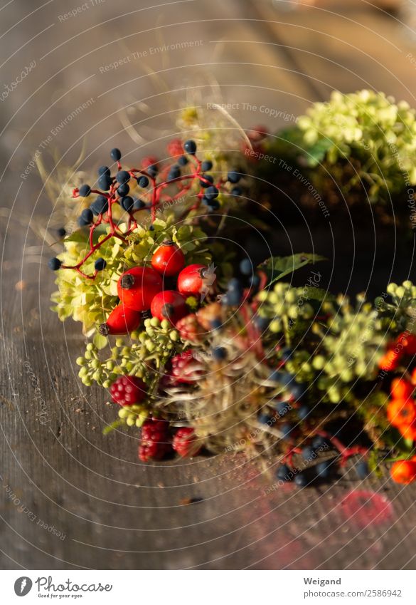 Autumn Wreath I Harmonious Well-being Contentment Meditation Fragrance Thanksgiving Wood Dream Sadness Healthy Red To console Grateful Attentive Rose hip Flower