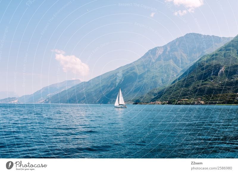 Lake Garda. Sailing ship. Environment Nature Landscape Summer Beautiful weather Mountain Lakeside Sailboat Elegant Sustainability Natural Blue Green Experience