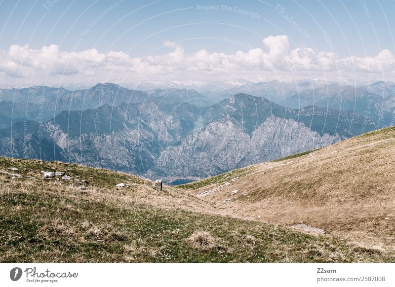 Monte Baldo Lake Garda. Environment Nature Landscape Summer Beautiful weather Meadow Alps Mountain Peak Simple Far-off places Gigantic Infinity Blue Adventure