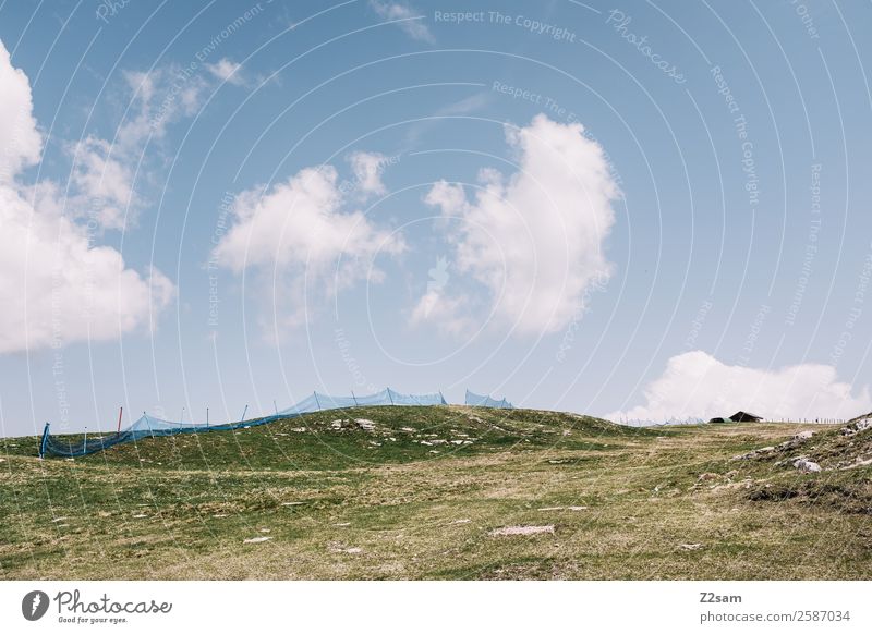 Lake Garda. Monte Baldo. Environment Nature Landscape Summer Beautiful weather Meadow Alps Mountain Peak Esthetic Elegant Blue Green Loneliness Relaxation