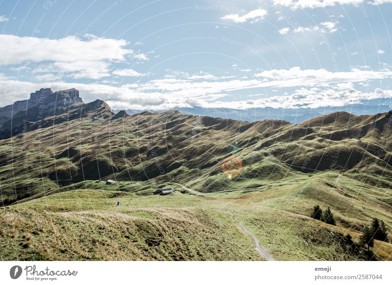 High Ybrig Environment Nature Landscape Summer Beautiful weather Alps Mountain Natural Blue Green Tourism Switzerland Hoch-Ybrig Hiking trip Colour photo