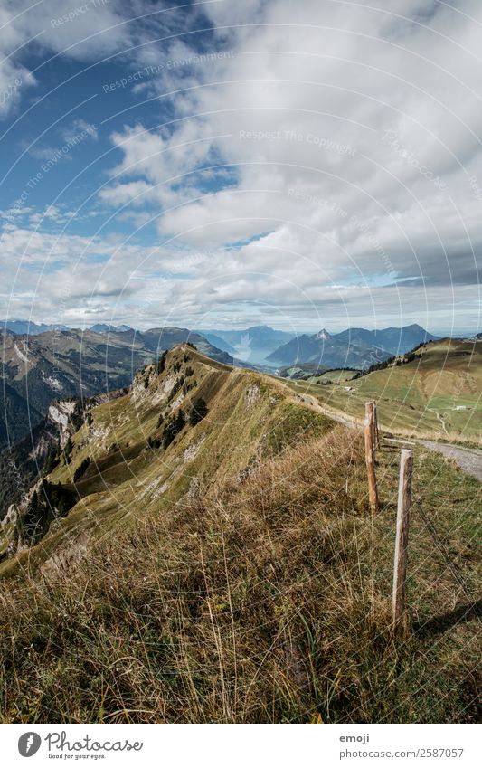 View from Hoch-Ybrig Environment Nature Landscape Summer Beautiful weather Alps Mountain Natural Blue Green Tourism Switzerland Lake Lucerne Hiking trip