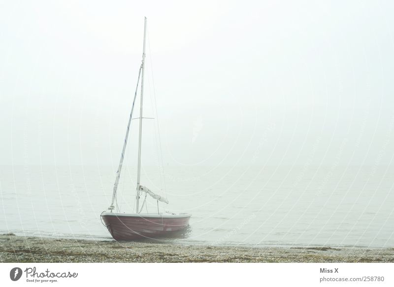 Charons Ferry Clouds Autumn Winter Bad weather Fog Coast Lakeside North Sea Ocean Navigation Sailboat Watercraft Swimming & Bathing Gloomy Gray Colour photo