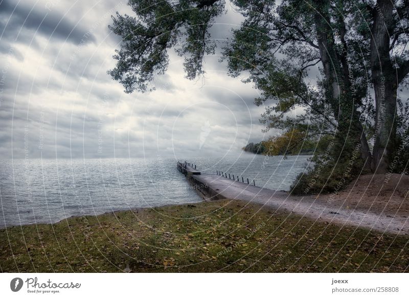 sea route Nature Clouds Horizon Summer Weather Bad weather Tree Meadow Lakeside Lanes & trails Dark Brown Gray Green White Cold Footbridge Colour photo