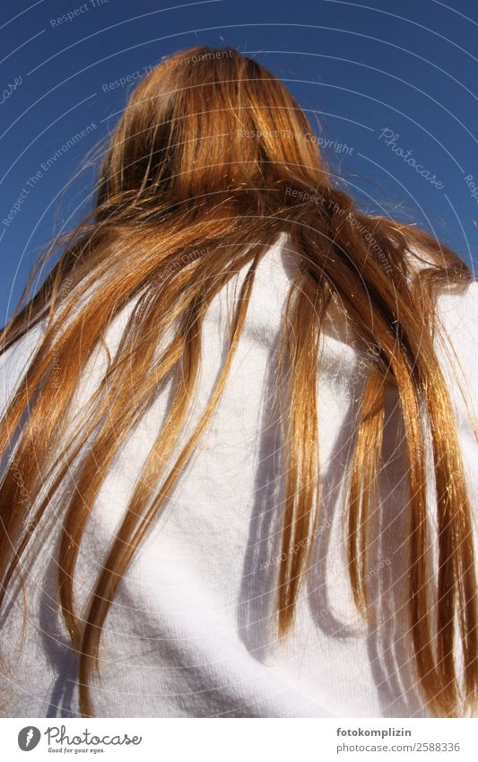 Red hair Hair and hairstyles 1 Human being Red-haired Long-haired Observe Dream Wait Exceptional Rebellious Happiness Serene Patient Loneliness Bizarre