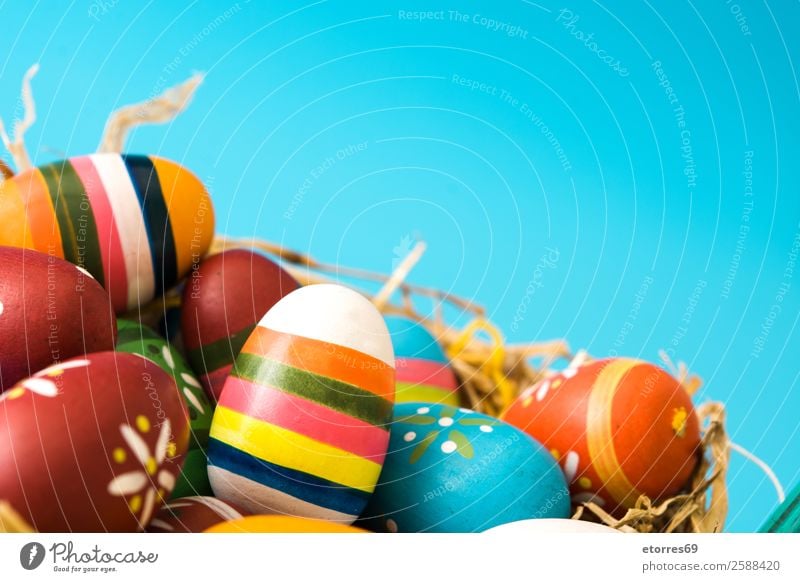 Easter eggs in a basket on blue background Egg Colour Vacation & Travel Feasts & Celebrations Public Holiday Background picture Guest Decoration Festive Well