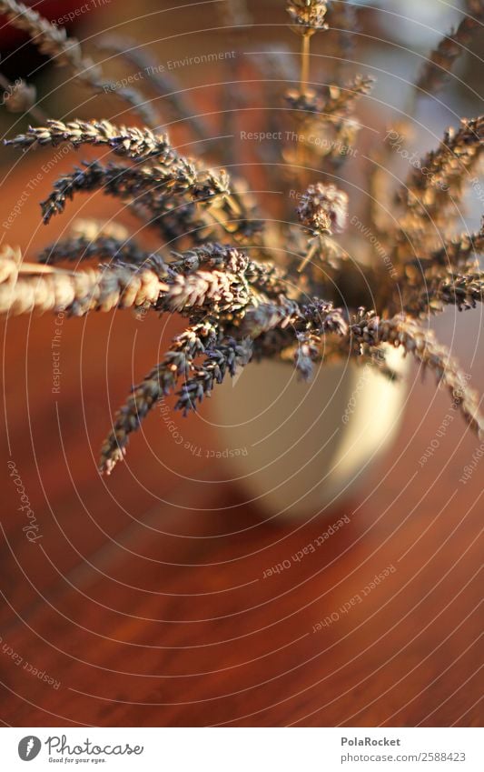 #A# Decorative Lavender Art Esthetic Lavender field Lavande harvest Decoration France Provence Flower Bouquet Colour photo Subdued colour Interior shot