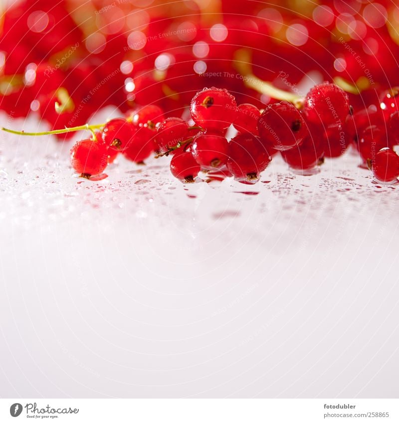 berry season Fruit Organic produce Slow food To enjoy Healthy Delicious Red Esthetic Uniqueness Colour photo Studio shot Copy Space bottom