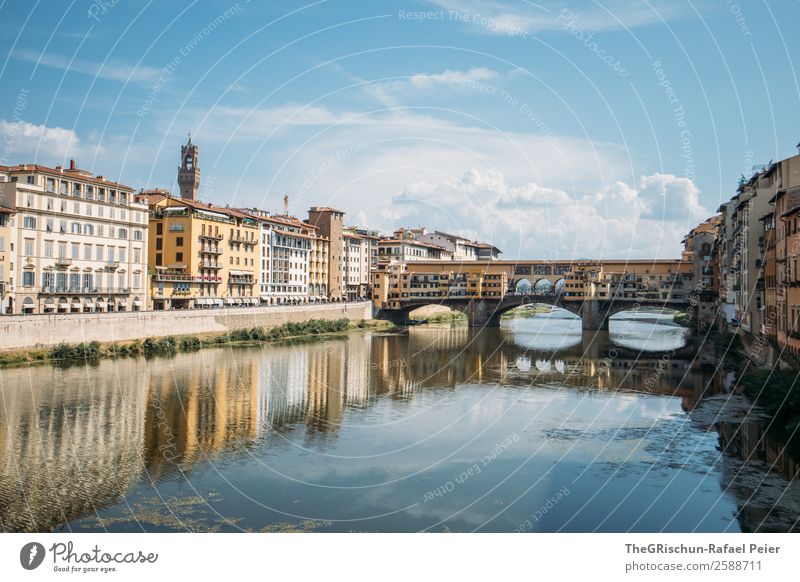 Florence Town Blue Sightseeing Architecture Bridge Reflection Italy To go for a walk Tourism Travel photography Discover Colour photo Exterior shot Deserted