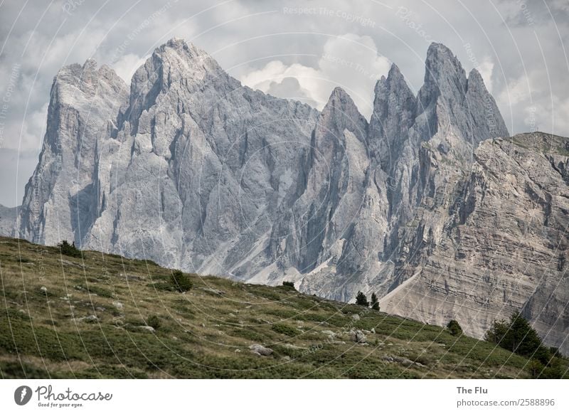 dolomitic dream Nature Landscape Clouds Sunlight Summer Alps Mountain Geisler range Coral reef Italy South Tyrol Europe Tourist Attraction Stone Hiking