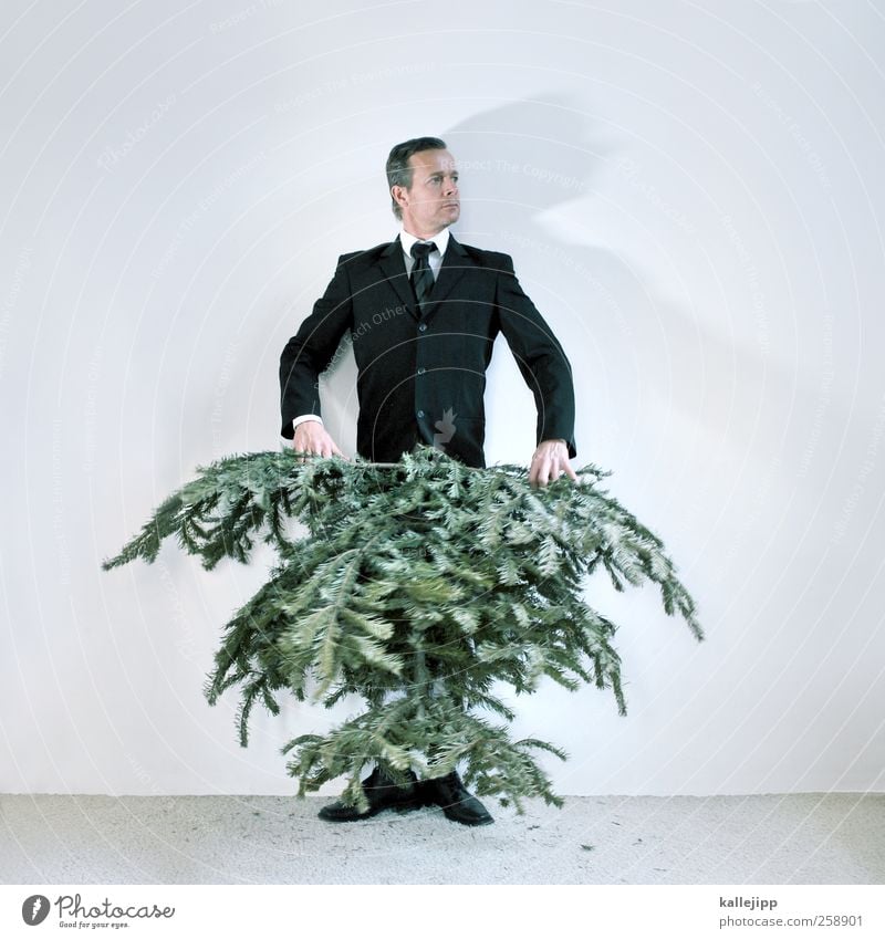 man carries tree now! Human being Masculine Man Adults 1 30 - 45 years Environment Nature Plant Tree Fashion Clothing Suit Tie Footwear Hair and hairstyles