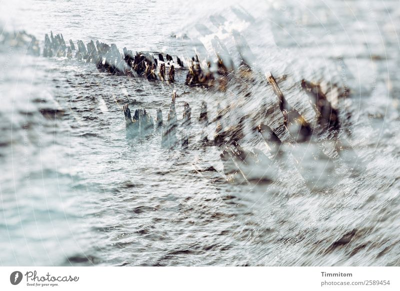 At the Baltic Sea Vacation & Travel Environment Nature Elements Water Break water Blue Brown Gray Emotions Waves Double exposure Colour photo Subdued colour