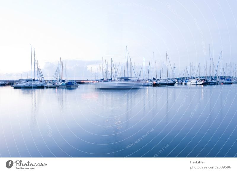 Blue hour at the marina of Stralsund Joy Leisure and hobbies Vacation & Travel Tourism Trip Adventure Far-off places Freedom Sightseeing Summer Summer vacation