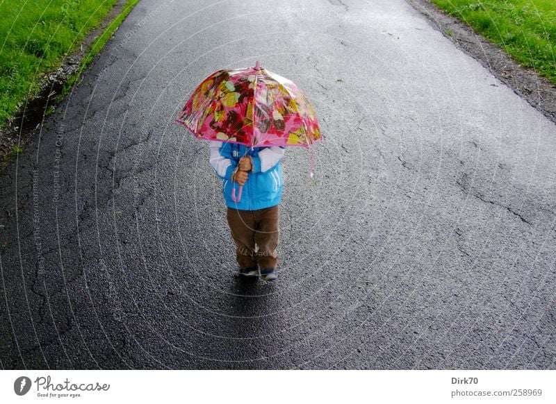 Hiking mushroom in summer rain Human being Masculine Child Toddler Boy (child) Infancy 1 1 - 3 years Summer Bad weather Rain Dike Lanes & trails