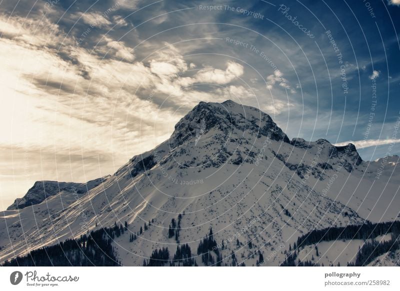 White Giant Nature Landscape Plant Sky Clouds Sun Sunlight Winter Beautiful weather Tree Fir tree Hill Rock Alps Mountain Peak Snowcapped peak Lechtal