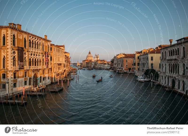 Venice Small Town Port City Tourist Attraction Blue Brown Yellow Gold Italy Canal Grande Watercraft House (Residential Structure) Dome Wooden stake Footbridge