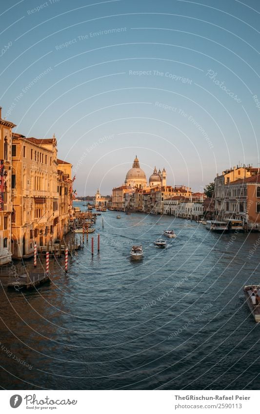 Venice Town Port City Blue Brown Gold Black White Canal Grande Italy Travel photography Discover City trip Watercraft Navigation Dome Moody Exterior shot