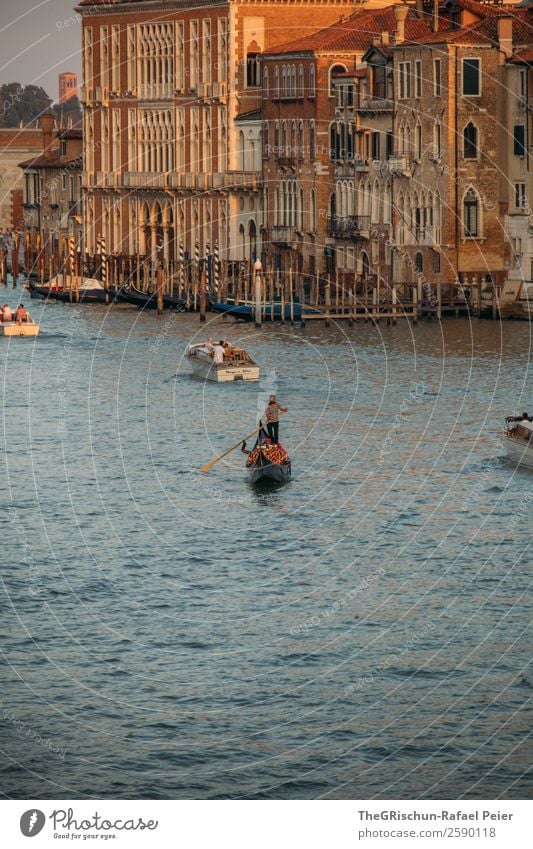 Venice Small Town Port City Downtown Blue Brown Yellow Gold Gondolier House (Residential Structure) Watercraft Navigation Footbridge Tourism Italy Colour photo