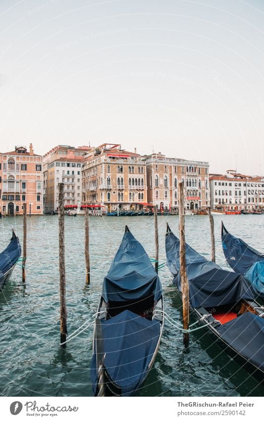 gondola Small Town Port City Blue Brown Red Venice Italy Gondola (Boat) House (Residential Structure) Wooden stake Footbridge Exterior shot Deserted