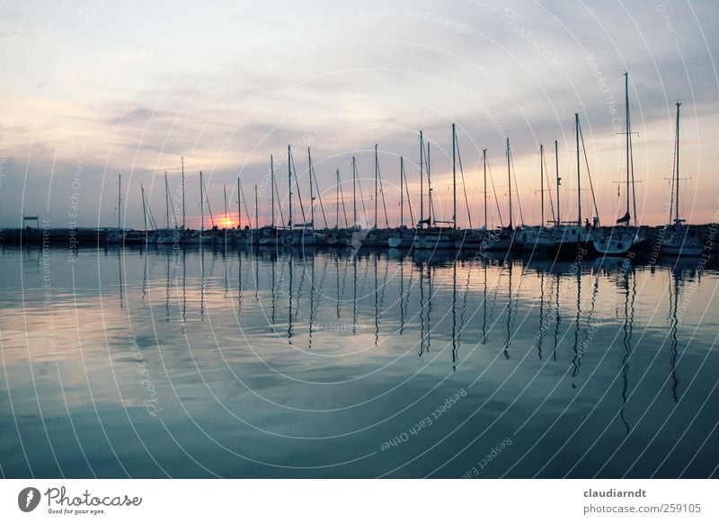 amplitude Port City Navigation Sailboat Watercraft Harbour Yacht harbour Esthetic Beautiful Dusk Mast Symmetry Ocean Poel Island Germany