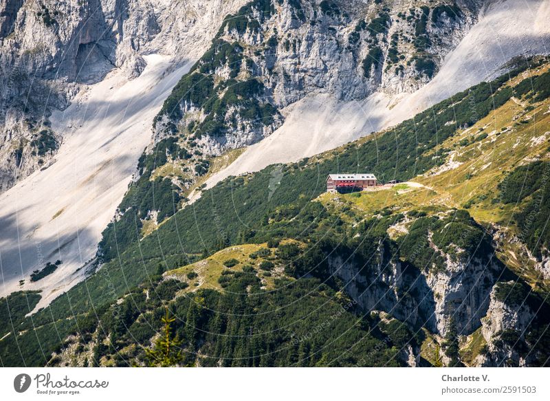 Feel like a little emotion. Adventure Summer Mountain Hiking Nature Beautiful weather Rock Kaiser Mountains Meadow Scree Wall of rock Stone Gigantic Large Tall