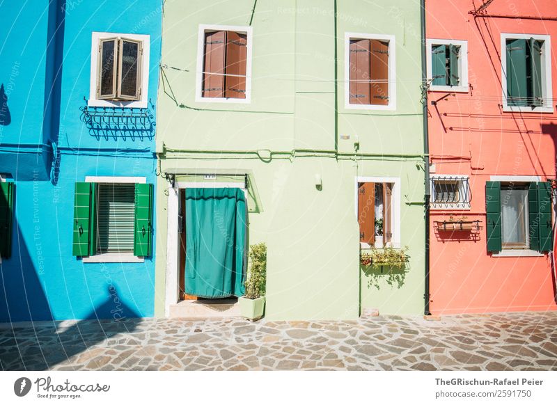 Burano Small Town Blue Multicoloured Pink Paving stone House (Residential Structure) Shadow Light Dye Window Shutter Exterior shot Copy Space bottom Day