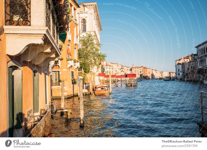 Venice Small Town Port City Blue Yellow Gold Moody Water Channel Wooden stake House (Residential Structure) Italy Colour photo Exterior shot Deserted