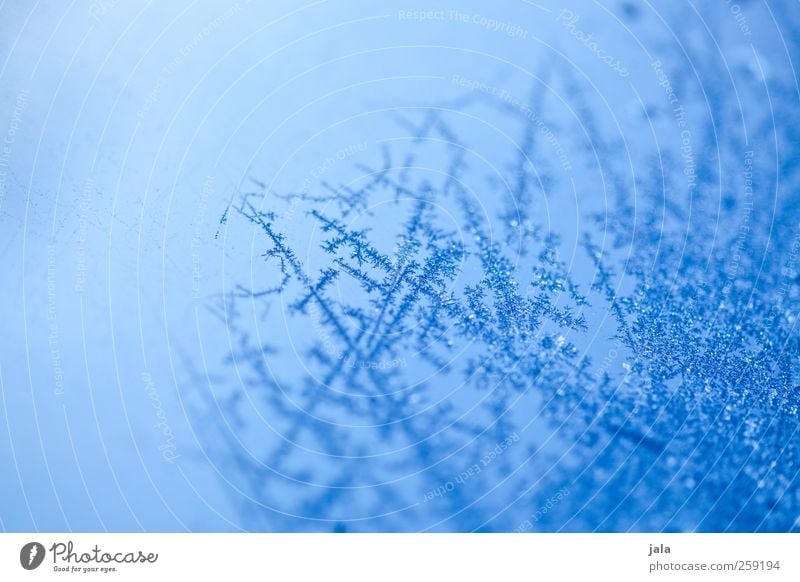 frozen effect Winter Ice Frost Glass Esthetic Blue Frozen Water Colour photo Exterior shot Structures and shapes Deserted Day