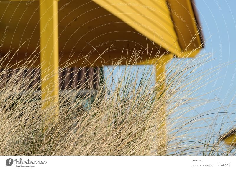 island life Architecture Plant Sky Village House (Residential Structure) Hut Manmade structures Building Facade Wood Blue Yellow Grass Marram grass Dune Gable