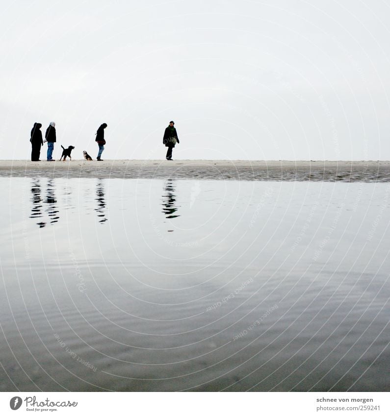 companions Human being Masculine 4 Group Crowd of people Environment Nature Landscape Sand Water Sky Cloudless sky Bad weather Waves Beach Ocean Island